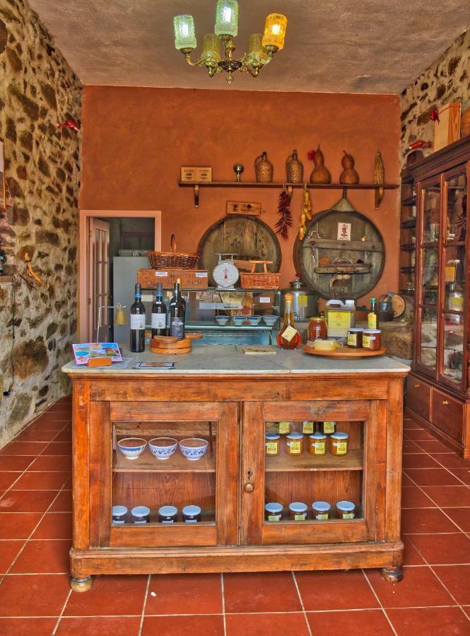 Quinta Do Barracao Da Vilarica Lodoes Экстерьер фото
