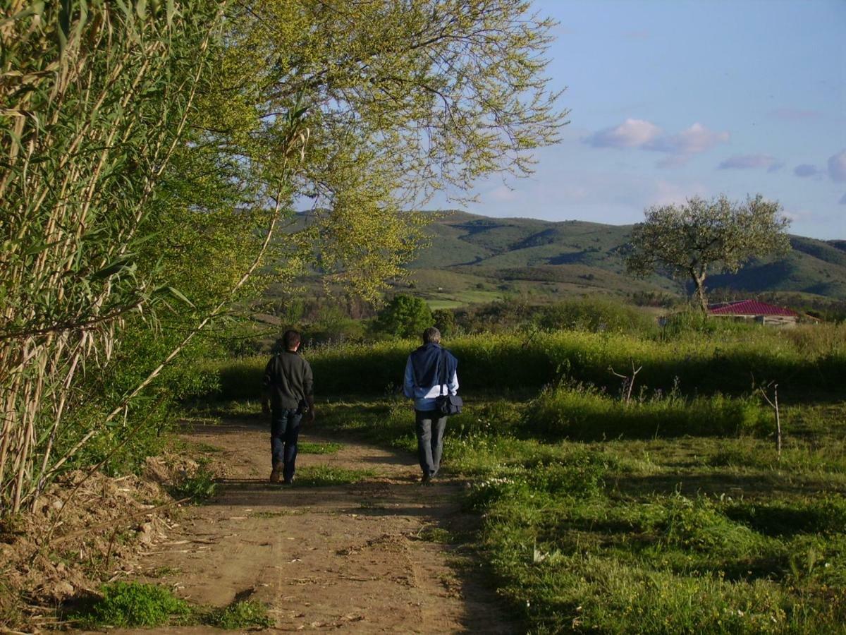 Quinta Do Barracao Da Vilarica Lodoes Экстерьер фото